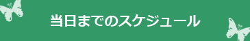 当日までのスケジュール
